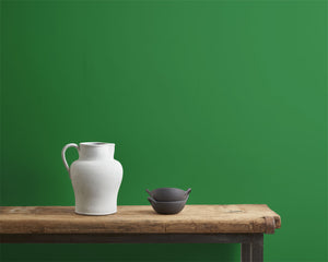 Schinkel Green Annie Sloan Wall Paint