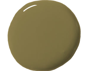 Olive Annie Sloan Wall Paint