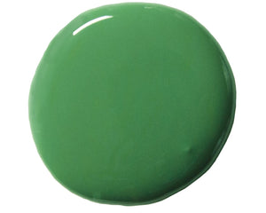 Schinkel Green Annie Sloan Wall Paint